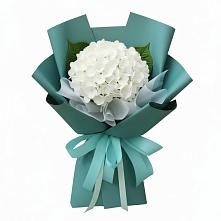 Букет цветов из:  Гортензия в Атяшево